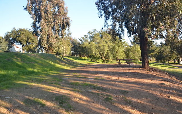 DSC 4173