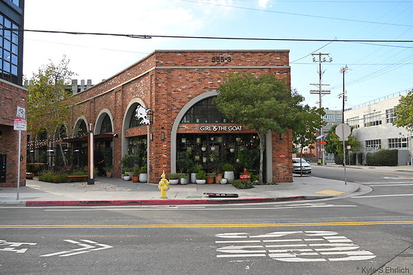 025 At Mateo - Girl and The Goat