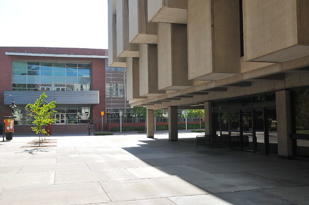 DSC 2806 x DSC 2806 x