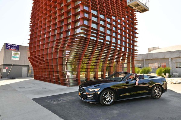 303 Vespertine 303 Vespertine