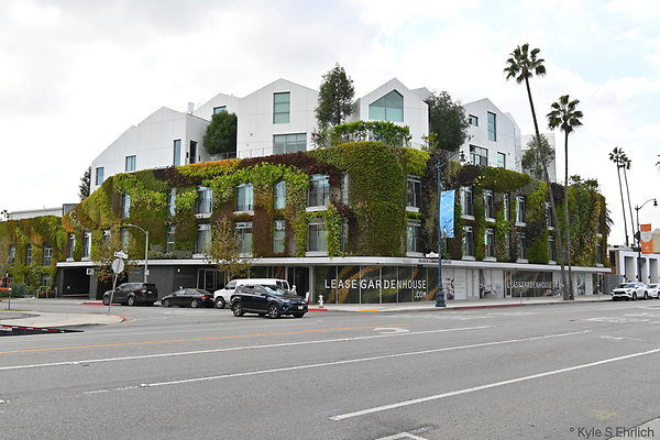 1014 Garden House - Beverly Hills 1014 Garden House - Beverly Hills