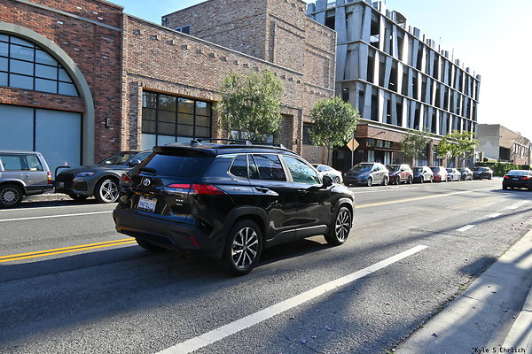 301 Palmetto and Mateo