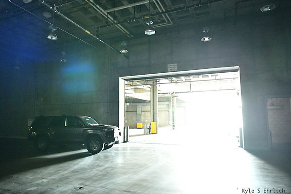 1005 LA Conv Kentia E