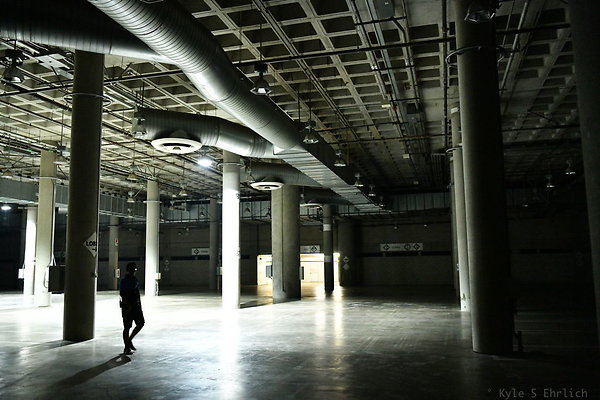 1003 LA Conv Kentia C