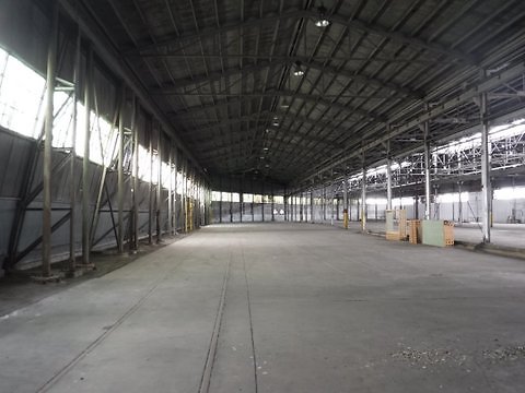 08 Miss warehouse Kodevco