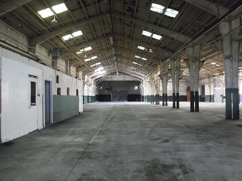 11 naud spiderman Kodevco