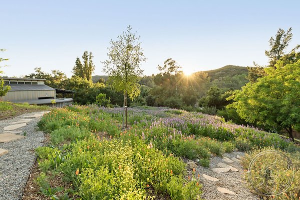 modern-409-132 modern-409-132