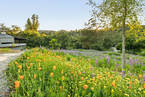 modern-409-133 modern-409-133