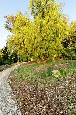 modern-409-139 modern-409-139