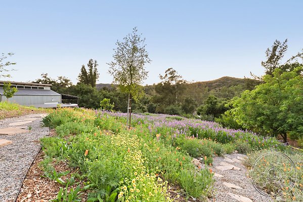 modern-409-135 modern-409-135