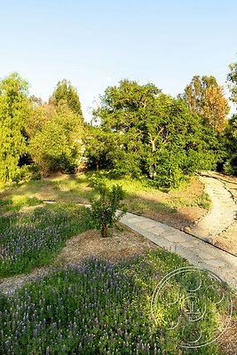 modern-409-140 modern-409-140