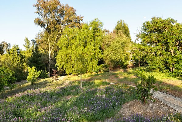 modern-409-137 modern-409-137