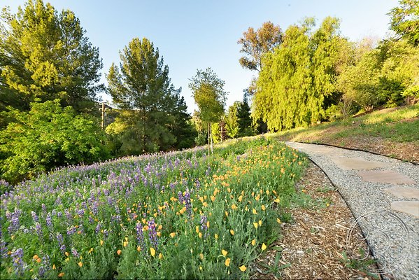 modern-409-141 modern-409-141