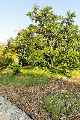 modern-409-146 modern-409-146