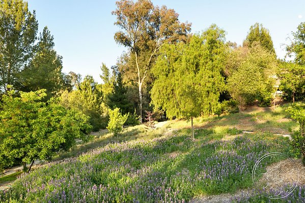 modern-409-144 modern-409-144