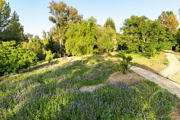 modern-409-143 modern-409-143