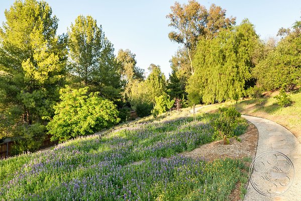 modern-409-138 modern-409-138