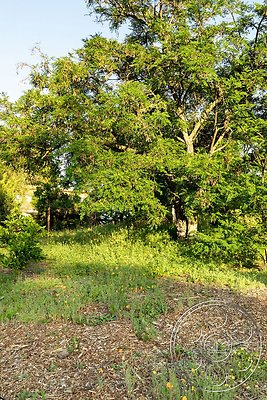 modern-409-145 modern-409-145