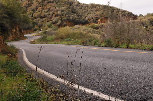 041 Tuna Cyn MM 3 19 A