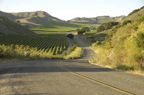 003 Palmer MM0 50 - SB