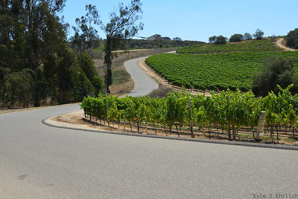 J Winery Rd