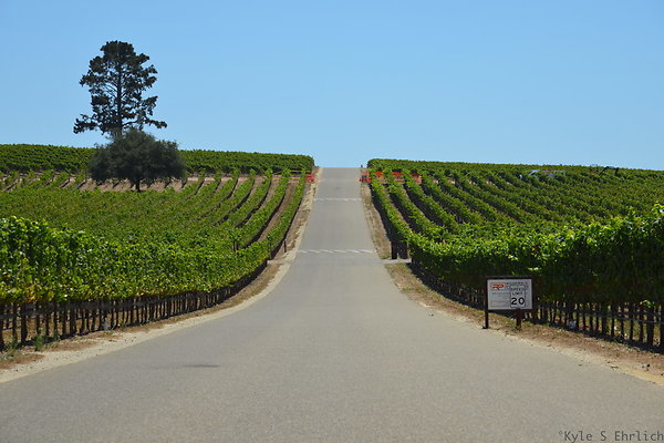 F Winery Rd