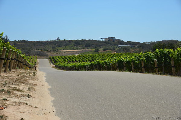 M Winery Rd