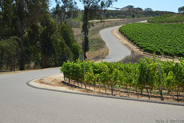 P Winery Rd