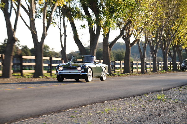 535 Foxex B-Southview