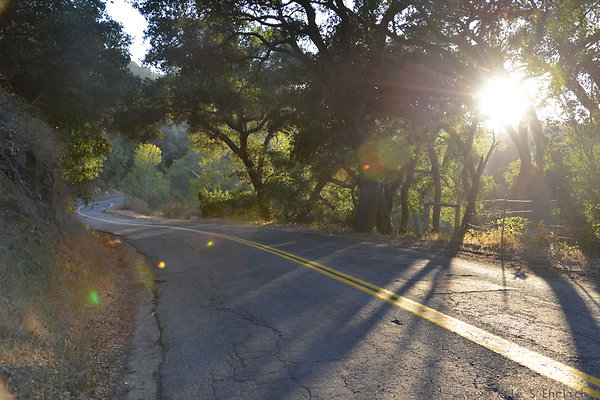 549 Jalama Rd MM 8 50  - Diamond Corrals