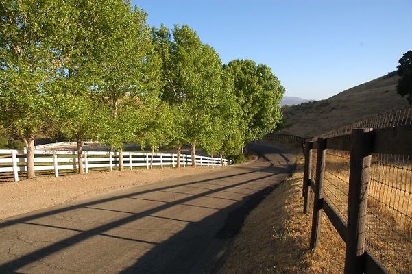 517 Ballard Canyon MM5 36