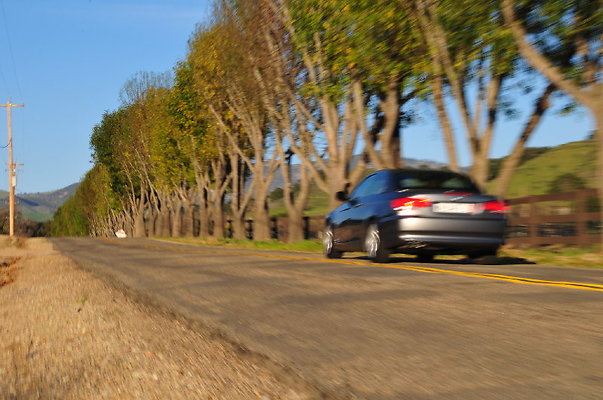 534 Foxen A-Northview