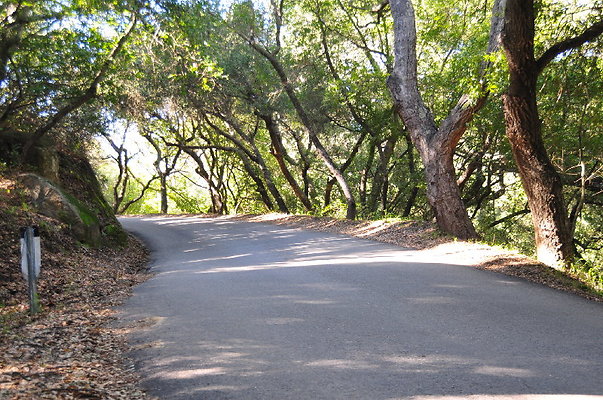 544 W Camino Cielo-SB