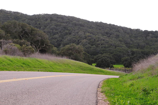 536 Jalama Rd MM 8-9 Diamond Corrals