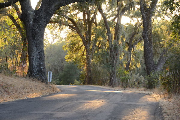 1019 Alisal Rd Buelton - Public