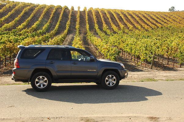 09 Thompson Vineyard - Private - SB