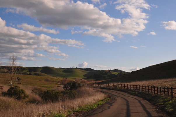 D Curvey Rd - Fences