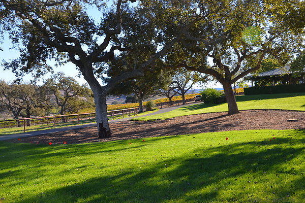 DSC 0459 DSC 0459