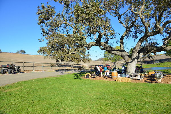 DSC 0409 DSC 0409