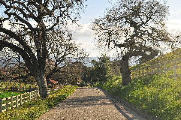 11 Bridelwood Back 40 - Private - SB