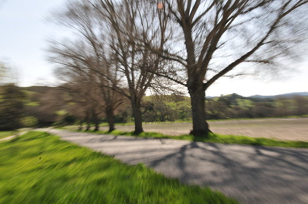 06 Thompson - Alisos